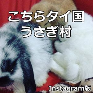 Baixar The Rabbit Village in Thailand: Live in Thailand with Rabbits (Japanese Edition) pdf, epub, eBook
