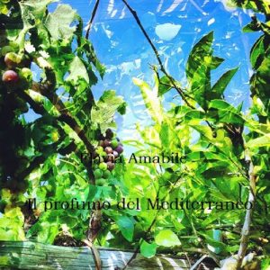 Baixar Il profumo del Mediterraneo (Italian Edition) pdf, epub, eBook