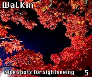 Baixar WaLKin 5 (English Edition) pdf, epub, eBook