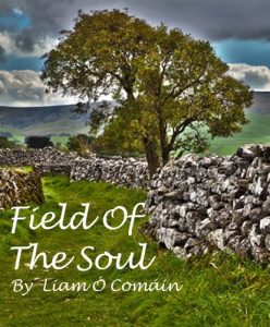 Baixar Field Of The Soul (English Edition) pdf, epub, eBook