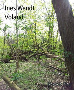 Baixar Voland (German Edition) pdf, epub, eBook