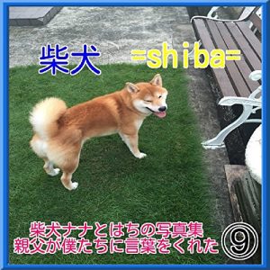 Baixar shibainunanatohachinosyasinsyu (Japanese Edition) pdf, epub, eBook