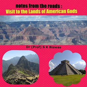 Baixar Notes from the Roads : Visit to the Lands of American Gods (English Edition) pdf, epub, eBook