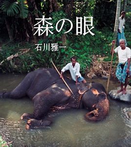 Baixar EYES OF THE FOREST: The Adventure with Sri Lankan Mahout in the civil war (Steinbach Novels) (Japanese Edition) pdf, epub, eBook