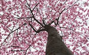 Baixar Hanami pdf, epub, eBook