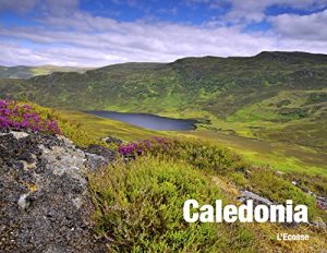 Baixar Caledonia – L’Ecosse en photos: Paysages (Le Photon Voyageur t. 1) (French Edition) pdf, epub, eBook