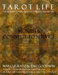 Baixar Tarot Life Book 6: Connect to Service (English Edition) pdf, epub, eBook