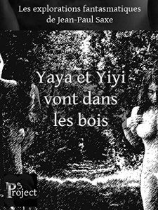 Baixar Yaya et Yiyi vont dans les bois (French Edition) pdf, epub, eBook