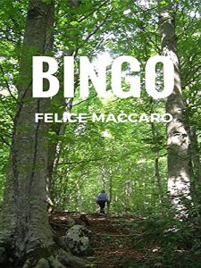 Baixar Bingo pdf, epub, eBook