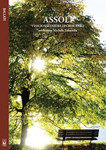 Baixar Assoli pdf, epub, eBook