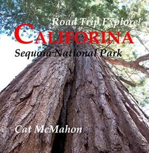 Baixar Road Trip Explore! California–Sequoia National Park (English Edition) pdf, epub, eBook