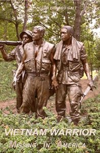 Baixar Vietnam Warrior Missing In America (English Edition) pdf, epub, eBook