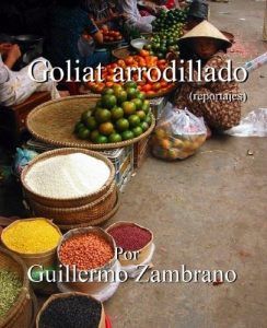 Baixar Goliat arrodillado (Spanish Edition) pdf, epub, eBook