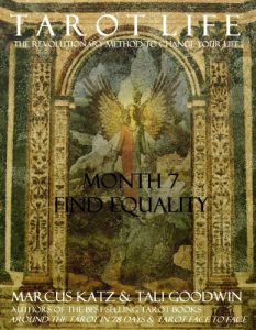 Baixar Tarot Life Book 7: Find Equality (English Edition) pdf, epub, eBook