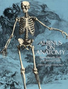Baixar Albinus on Anatomy (Dover Anatomy for Artists) pdf, epub, eBook