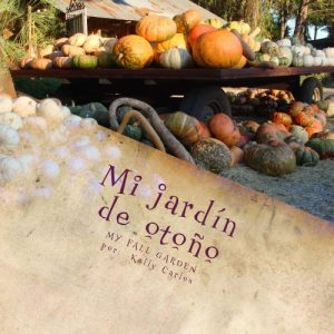 Baixar Mi jardin de otono (Spanish Edition) pdf, epub, eBook