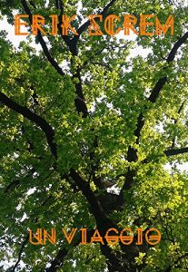 Baixar Un viaggio (Italian Edition) pdf, epub, eBook