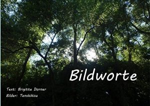 Baixar Bildworte (German Edition) pdf, epub, eBook