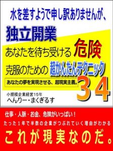 Baixar How to establish your business without risks pdf, epub, eBook