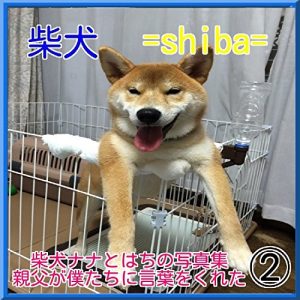 Baixar sibainunanatohachinosyasinsyu (Japanese Edition) pdf, epub, eBook