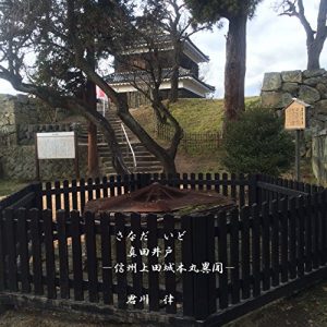 Baixar Sanada Ido: Shinshu Ueda Jyo Honmaru Ibun (Shinshu Rekishi Bunko) (Japanese Edition) pdf, epub, eBook