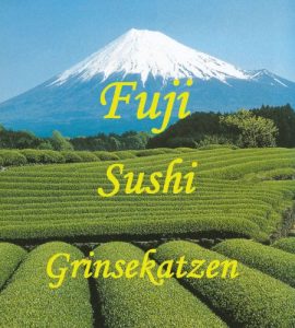 Baixar Fuji, Sushi, Grinsekatzen (German Edition) pdf, epub, eBook
