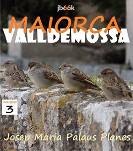 Baixar MALLORCA: VALLDEMOSSA [3] (Catalan Edition) pdf, epub, eBook