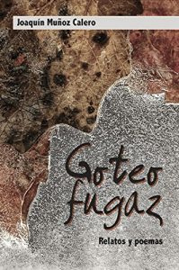 Baixar Goteo fugaz (Spanish Edition) pdf, epub, eBook