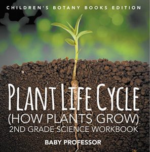 Baixar Plant Life Cycle (How Plants Grow): 2nd Grade Science Workbook | Children’s Botany Books Edition pdf, epub, eBook