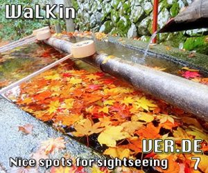 Baixar WaLKin 7 (German Edition) pdf, epub, eBook