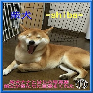 Baixar shibainunanatohachinosyasinsyu (Japanese Edition) pdf, epub, eBook