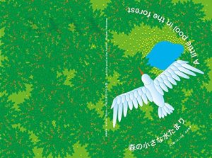 Baixar A litle pool in forest: morinochiisanamizutamari (kids book) (Japanese Edition) pdf, epub, eBook