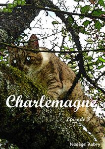 Baixar Charlemagne (AU PAYS DE CHICHU t. 3) (French Edition) pdf, epub, eBook