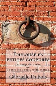 Baixar Toulouse en petites coupures (Le doigt du baron ou toutes les couleurs du monde t. 2) (French Edition) pdf, epub, eBook