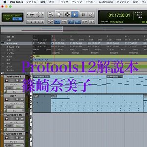 Baixar Protools12kaisetsuhon (Japanese Edition) pdf, epub, eBook