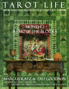 Baixar Tarot Life Book 2: Remove the Blocks (English Edition) pdf, epub, eBook