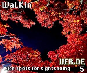 Baixar WaLKin 5 (German Edition) pdf, epub, eBook