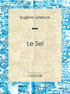 Baixar Le sel: Essai sur la chimie (French Edition) pdf, epub, eBook