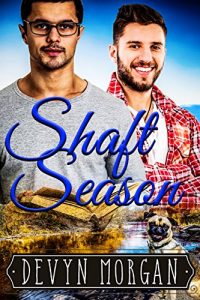 Baixar Shaft Season: A First Time Gay Romance (English Edition) pdf, epub, eBook