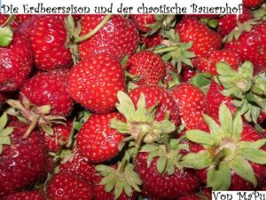 Baixar Die Erdbeersaison und der chaotische Bauernhof (German Edition) pdf, epub, eBook