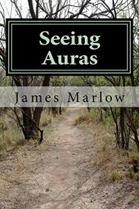 Baixar Seeing Auras (English Edition) pdf, epub, eBook