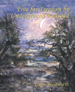 Baixar Five for Freedom by Underground Railroad (English Edition) pdf, epub, eBook