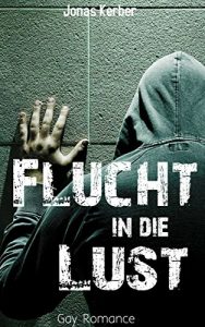 Baixar Flucht in die Lust (Gay Romance) (German Edition) pdf, epub, eBook
