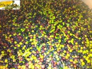 Baixar L’ Index Glycemique Et Le Diabete (French Edition) pdf, epub, eBook