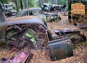 Baixar Rotten Places: Autowracks mit Kultstatus – Der etwas andere Fototrip nach Schweden (German Edition) pdf, epub, eBook