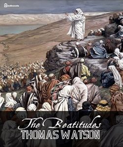 Baixar The Beatitudes (Illustrated) (English Edition) pdf, epub, eBook