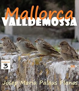Baixar MALLORCA: VALLDEMOSSA [3] (Spanish Edition) pdf, epub, eBook