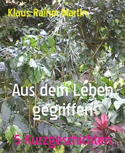 Baixar Aus dem Leben gegriffen: 5 Kurzgeschichten (German Edition) pdf, epub, eBook