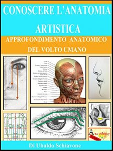 Baixar Conoscere l’anatomia artistica: Approfondimento anatomico del volto umano (Italian Edition) pdf, epub, eBook