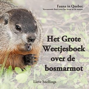 Baixar Het Grote Weetjesboek over de bosmarmot (Fauna in Quebec. Verrassende beelden over het leven in de natuur. Book 2) (Dutch Edition) pdf, epub, eBook